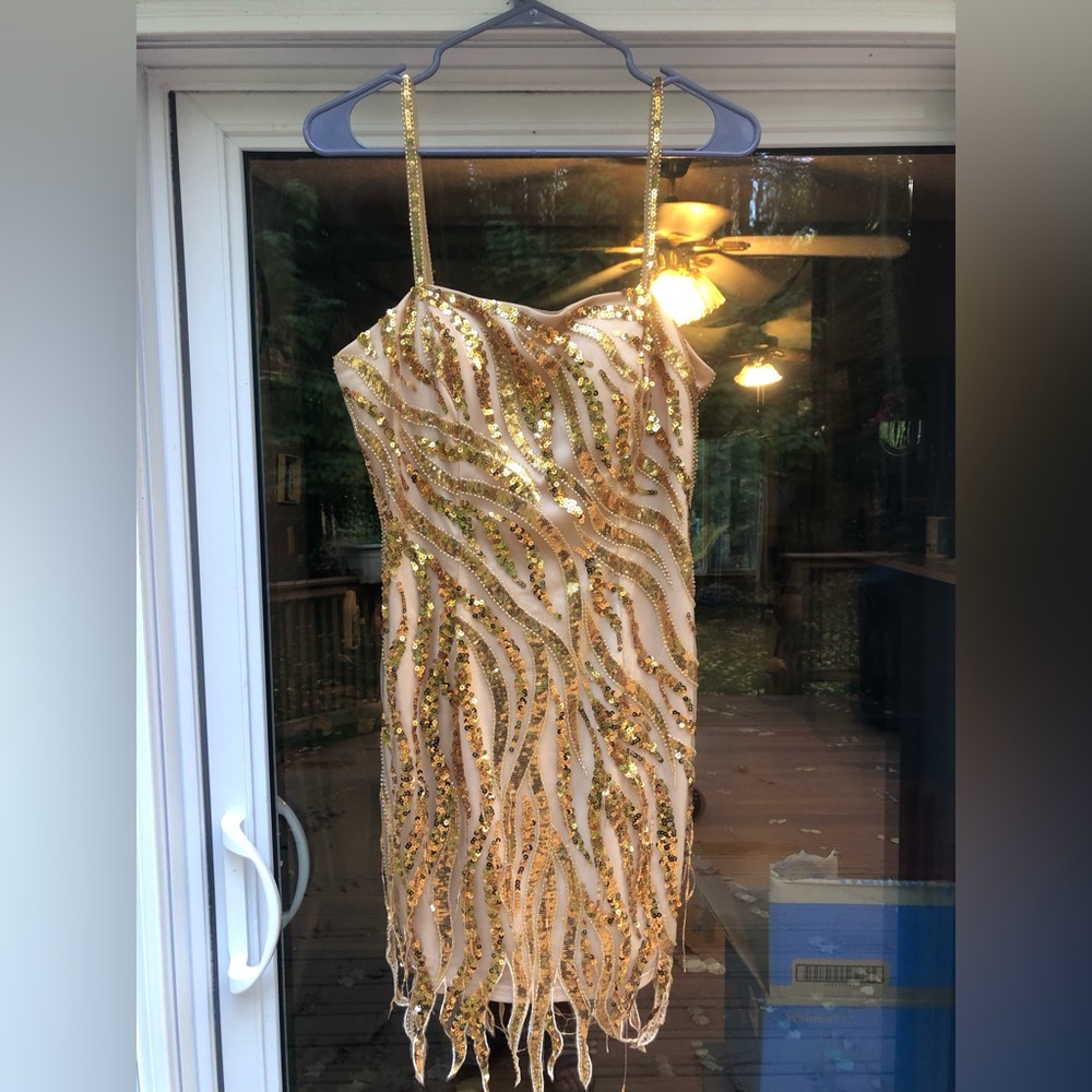 Homecoming/Prom/Wedding dress